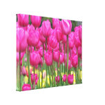 Rosa Tulpen wickelten Leinwand ein leinwanddrucke