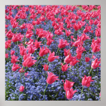 Rosa und lila Blumenfeld Posterdruck