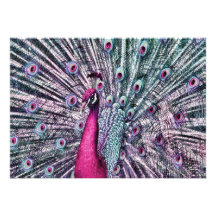 Rosa und lila Fantasie-Pfau-Party Einladungen