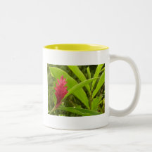 Rosa und roter Ingwer-Becher Tee Tasse