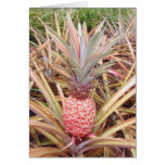 Rosa und weiße Ananas Karte