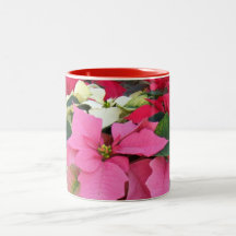 Rosa weiße rote Poinsettias Kaffee Haferl