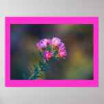 Rosa Wildblume Plakate