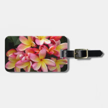 Rosaund Gelbtropische Plumeria-Blumen Adress Schild