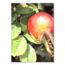 Rose angesagt - Blumenkunst-Druck Kunstfoto