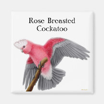 Rose Breasted Cockatoo-Magnet