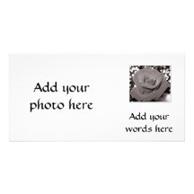 Rose im Schwarzen, im Weiß u. im Grau Fotokarten