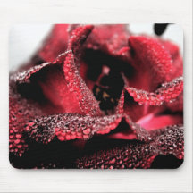 Rose in der Blüte Mousepad