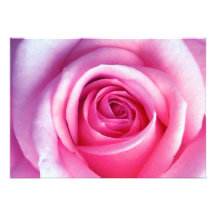 Rose Personalisierte Ankündigungskarte