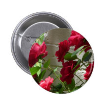 Rose, Rote Rose Anstecknadel