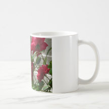 Rose, Rote Rose Kaffee Haferl