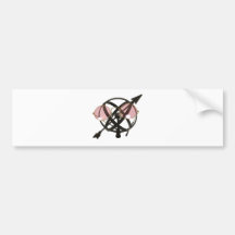 RoseColoredDirection053009 Auto Sticker