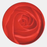 Rosen-Aufkleber