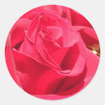 Rosen-Aufkleber und Umschlag Aufkleber