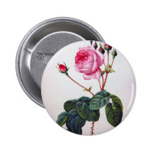 Rosen-Blume, Pierre Joseph Redouté Anstecknadelbuttons