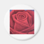 Rosen-Blumen-Malerei - multi Kühlschrankmagnete