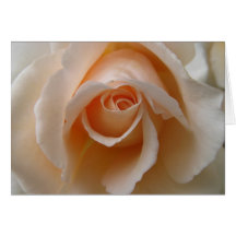 Rosen-Blüten-nahe hohe Mitteilungskarten