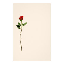 Rosen-Briefpapier Druckpapier