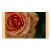 Rosen-Foto-Geschäfts-Karten Visitenkartenvorlage