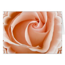 Rosen-Foto-Gruß-Karte