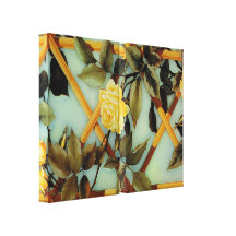Rosen Galerie Gefaltete Leinwand