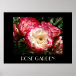 ROSEN-GARTEN-FEINE KUNST DRUCKT Geschenk-Vorlageng Plakatdruck