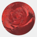 Rosen-Hochzeits-Aufkleber und Umschlag Aufkleber