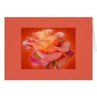 Rosen-rosarote Gruß-Karte für Ihren Schatz Grußkarte