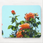 ROSEN, ROSEN-BLUMEN-MAUSUNTERLAGEN MOUSEPAD