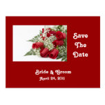 Rosen-Save the Date Postkarte