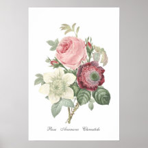 Rosen-und Anemonen-Plakat