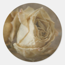 Rosenknospen Runder Aufkleber