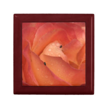 RosesGift Kasten Erinnerungskiste