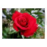 RoseValentine Grußkarte