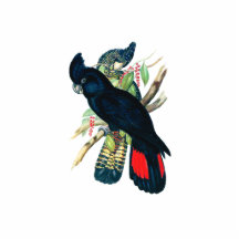 Rot angebunden, schwarze (Banksian) Cockatoos. Photoskulptur