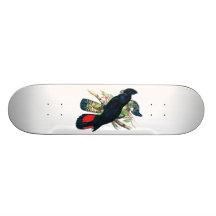 Rot angebunden, schwarze (Banksian) Cockatoos. Individuelle Skatedecks