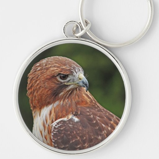 Rot-angebundenes Falke keychain Schlüsselbänder