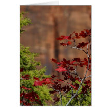Rot-Blätter in Zion Nationalpark Grußkarte