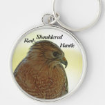 Rot-Geschultertes Falke (Buteo lineatus) keychain Schlüsselanhänger