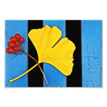 Rot, Ginkgo und Blau Fotodrucke