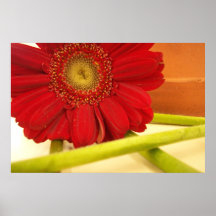 Rot Posterdrucke