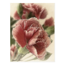 Rot-Rosa Gartennelken 1 rustikal Postkarten