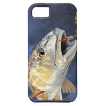 Rotbarsch-Streik iPhone 5 Schutzhülle