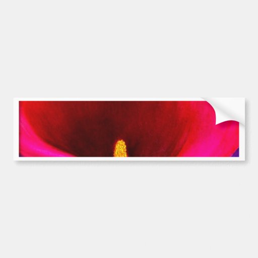 Rote Cala-Lilien-Blumen-Malerei-Kunst - multi Autoaufkleber