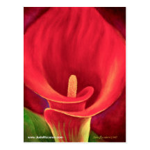 Rote Cala-Lilien-tropische Blumen-Kunst - multi Postkarten