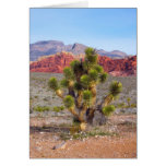 Rote Felsen-Schlucht, Nevada Karten