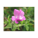Rote Feuernelken-Wildblume-Leinwand-Druck Leinwanddruck