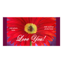 Rote Gänseblümchen-Blumen-Malerei - multi Individuelle Photo Karten