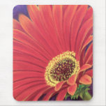 Rote Gänseblümchen-Blumen-Malerei - multi Mauspad