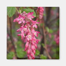 Rote gegenwärtige Blume Kühlschrankmagnet